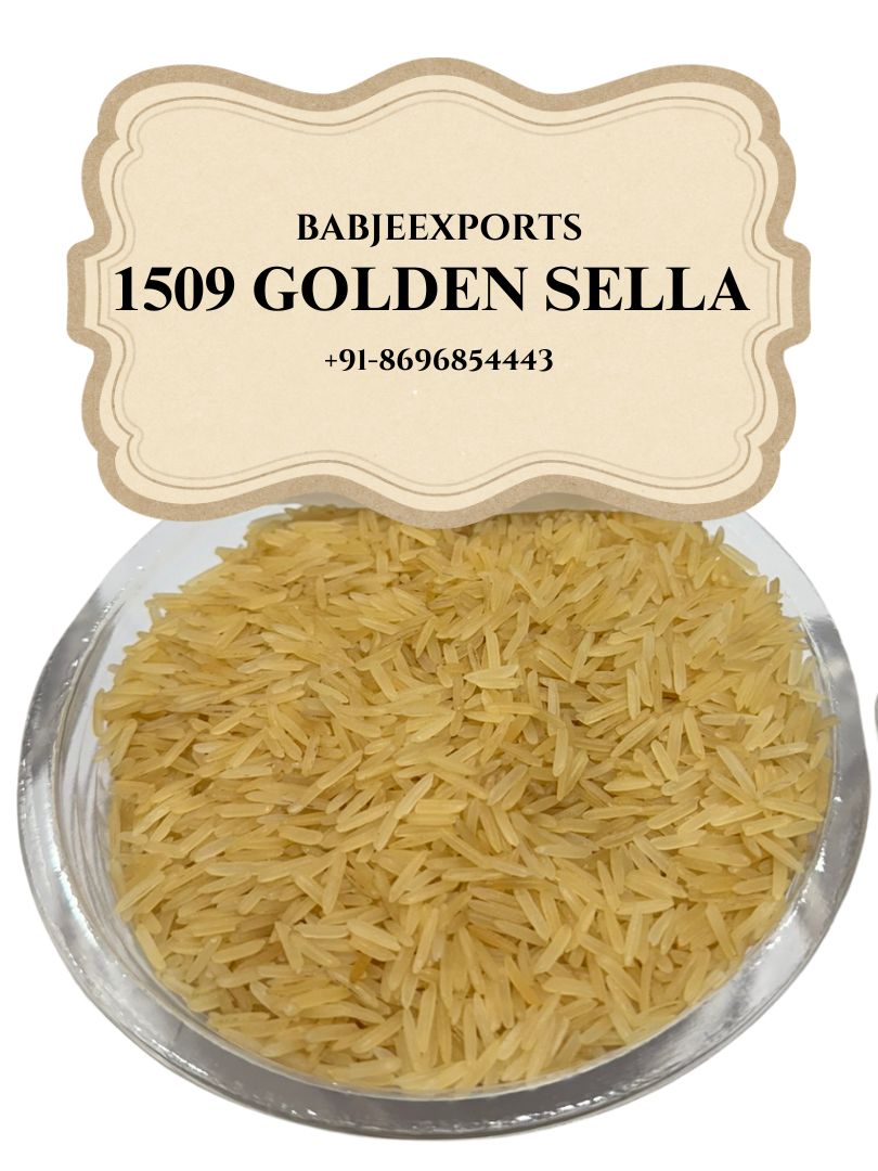 Traditional Basmati — 1509 Golden Sella