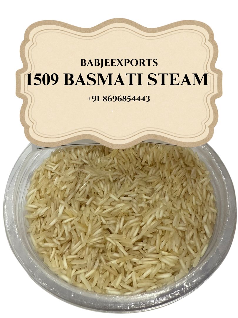 Traditional Basmati — 1509 Steam